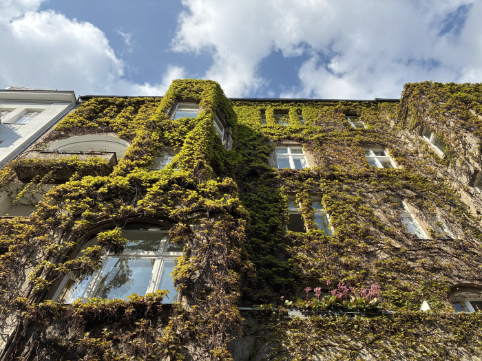 Grundsätzlich macht das iPhone 16e gut belichtete Bilder, die unter starker Vergrößerung etwas schärfer sind als die des Pixel 9a. (Bild: Tobias Költzsch/Golem.de)